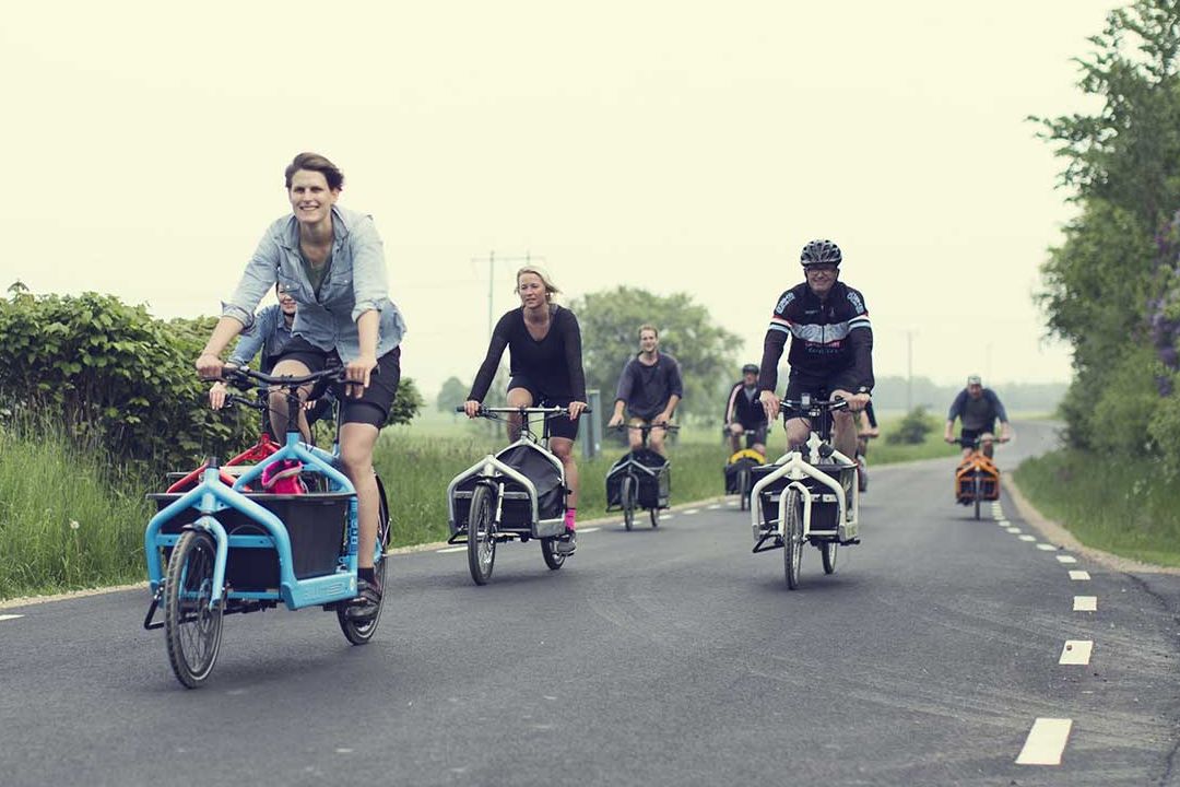 Bullitt Larry vs Harry