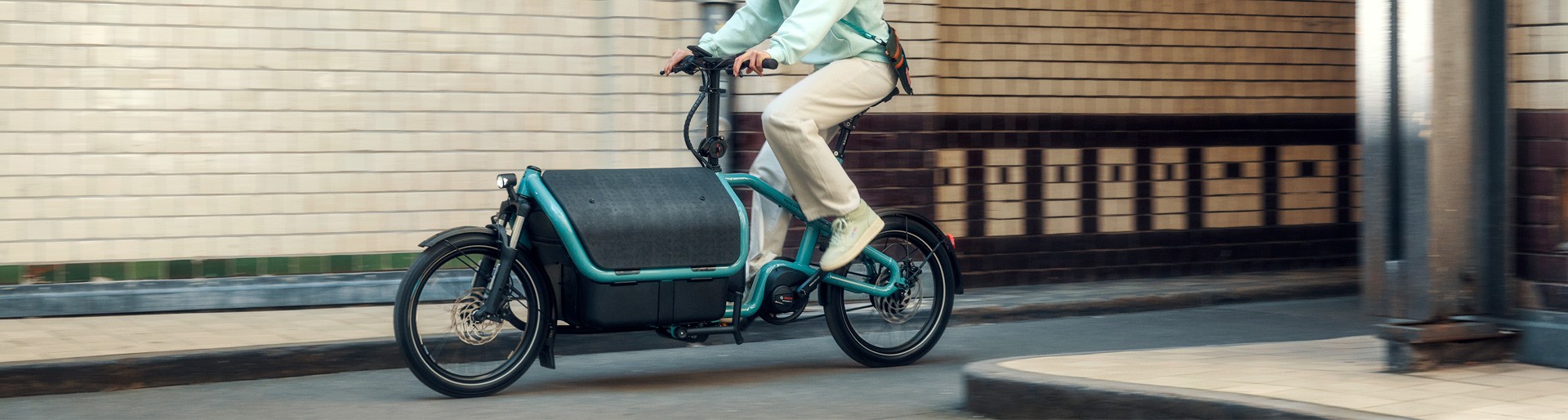 Riese & Müller Carrie