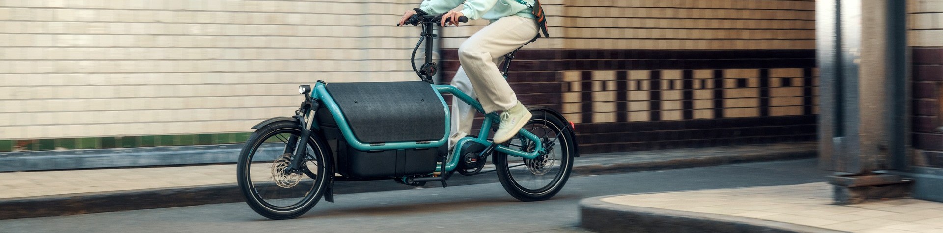 Riese & Müller Carrie