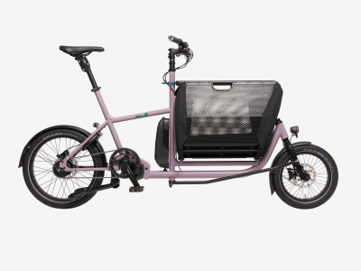 muli st e6100 purple breeze