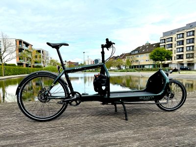 BULLITT | Alfine 8 Gates CDX Riemen | Modell Race | (Angebots-Nr. 11705 - E)