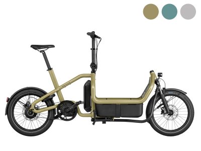 R & M Carrie vario | Bosch Performance Line (smart System) | Enviolo 380 Nabenschaltung - Riemen