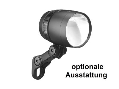Optionale Ausstattung (für eBullitt)