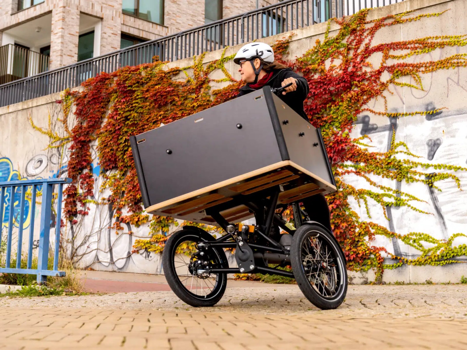 chike E-Cargo SE | Shimano STePS E6100 – Bild 4