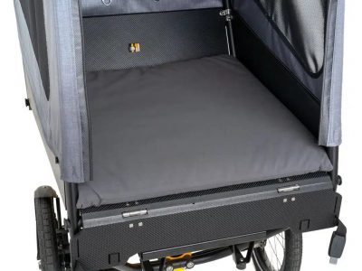 Kissen für chike E-Dog