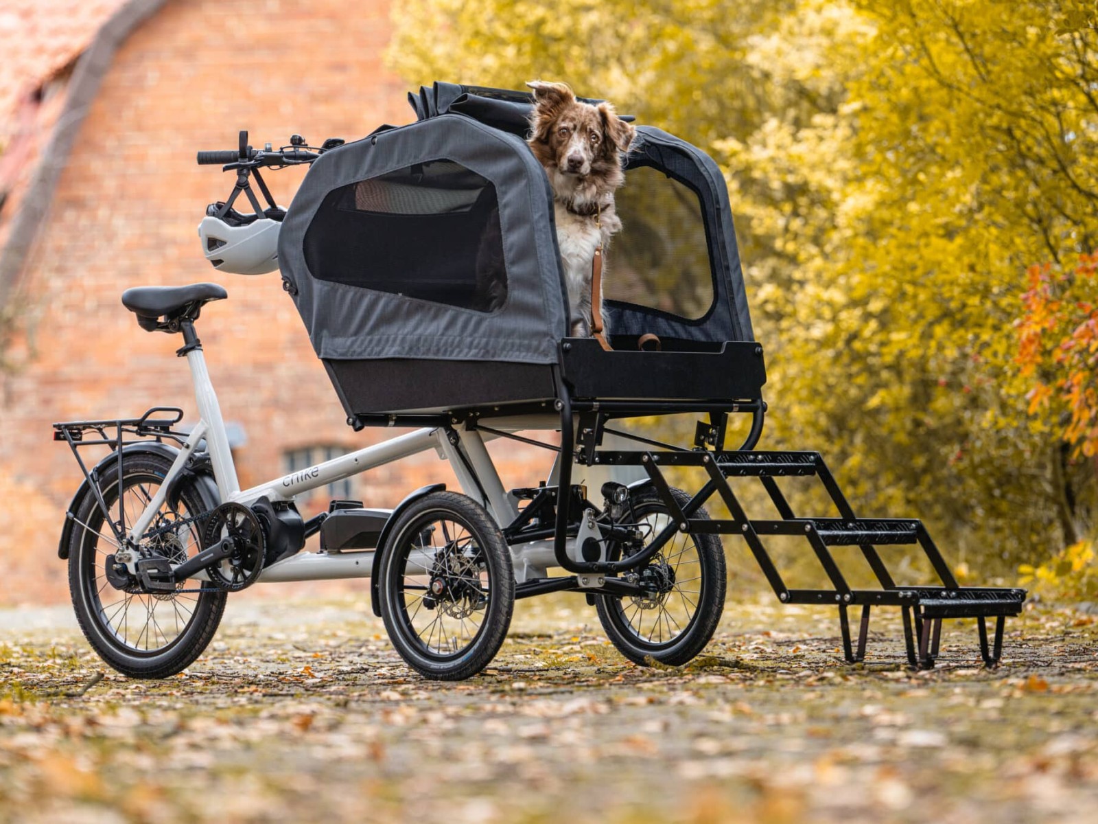 chike E-Dog SE | Shimano STePS E6100 – Bild 9
