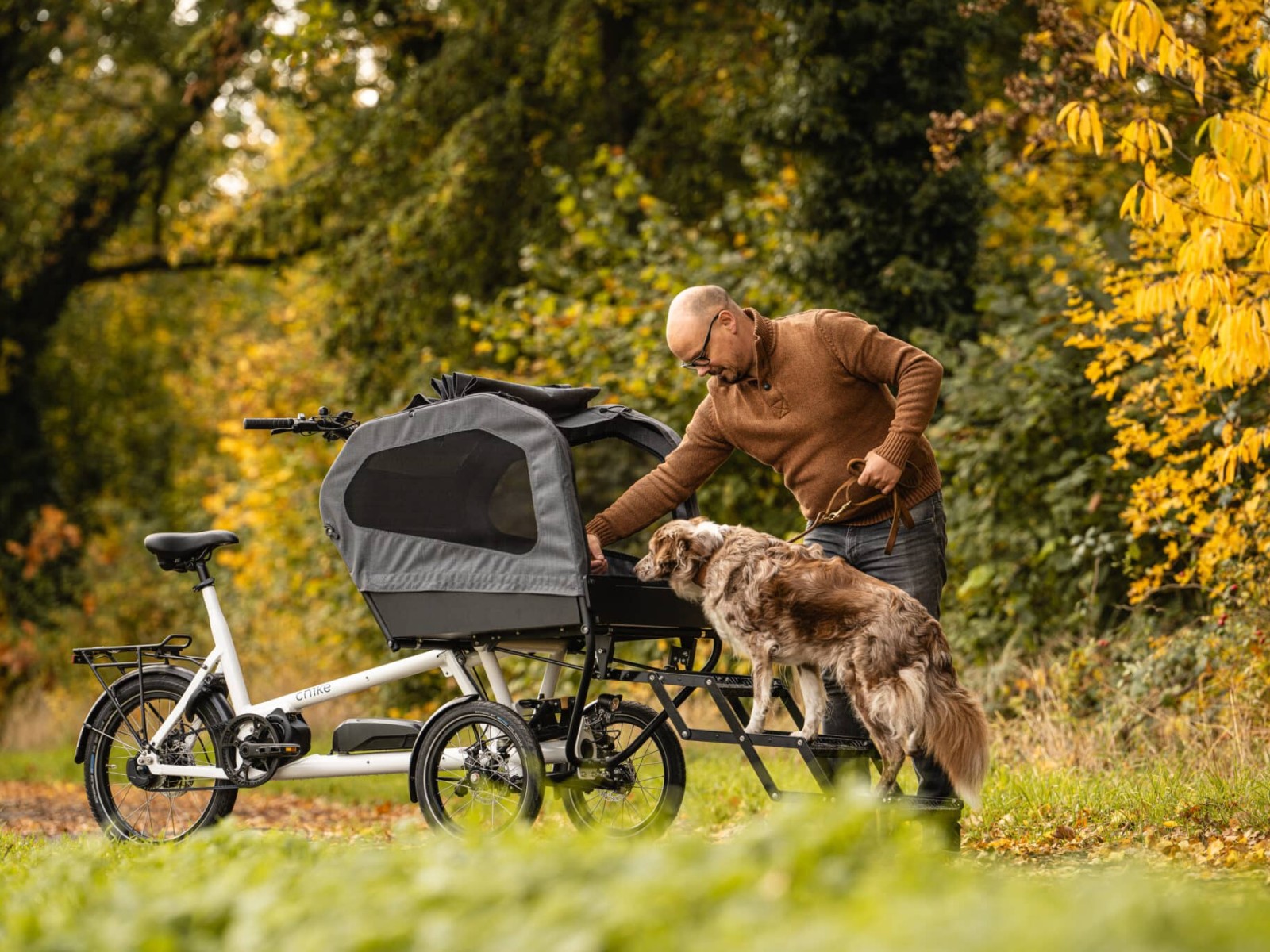 chike E-Dog SE | Shimano STePS E6100 – Bild 8