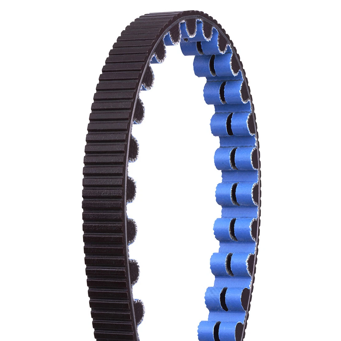 Gates Riemen CDX | Schwarz oder Blau – Bild 4