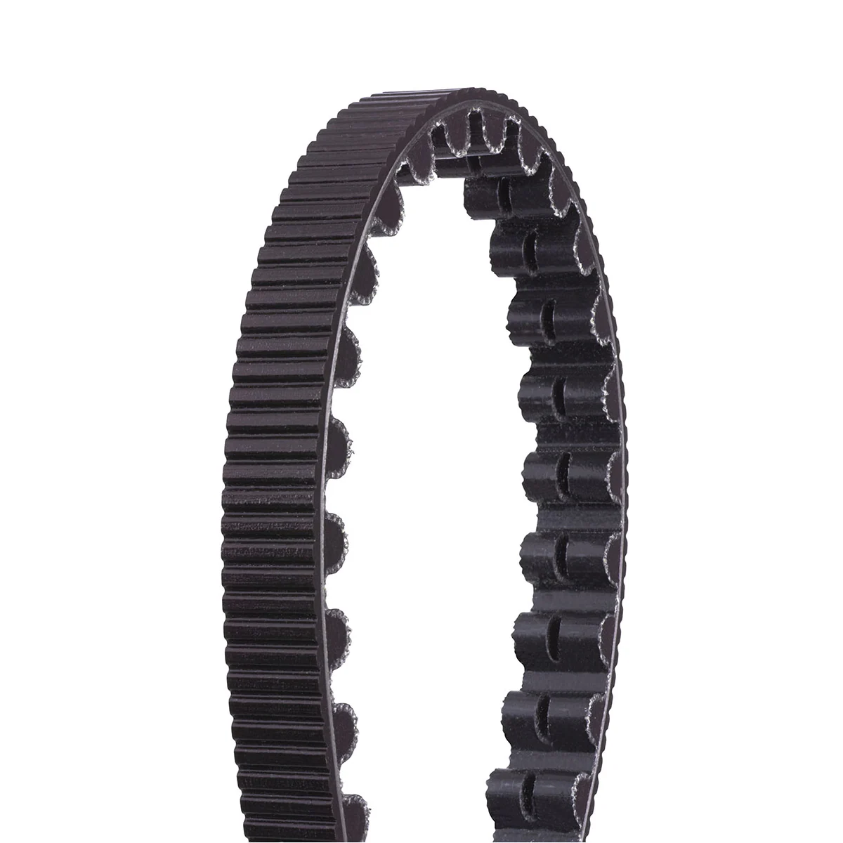 Gates Riemen CDX | Schwarz oder Blau – Bild 2